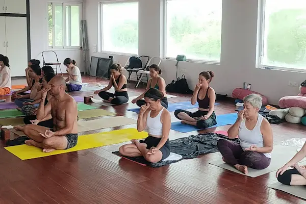 Advanced 300-hour yoga teacher training at Raj Yoga Rishikesh